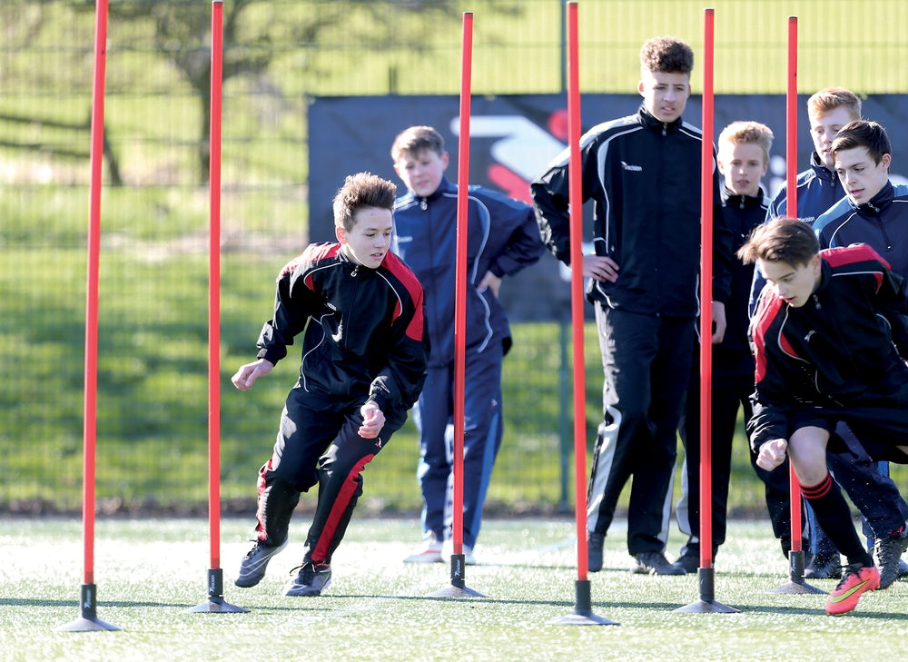 Precision Boundary Poles (Set of 12) image 0