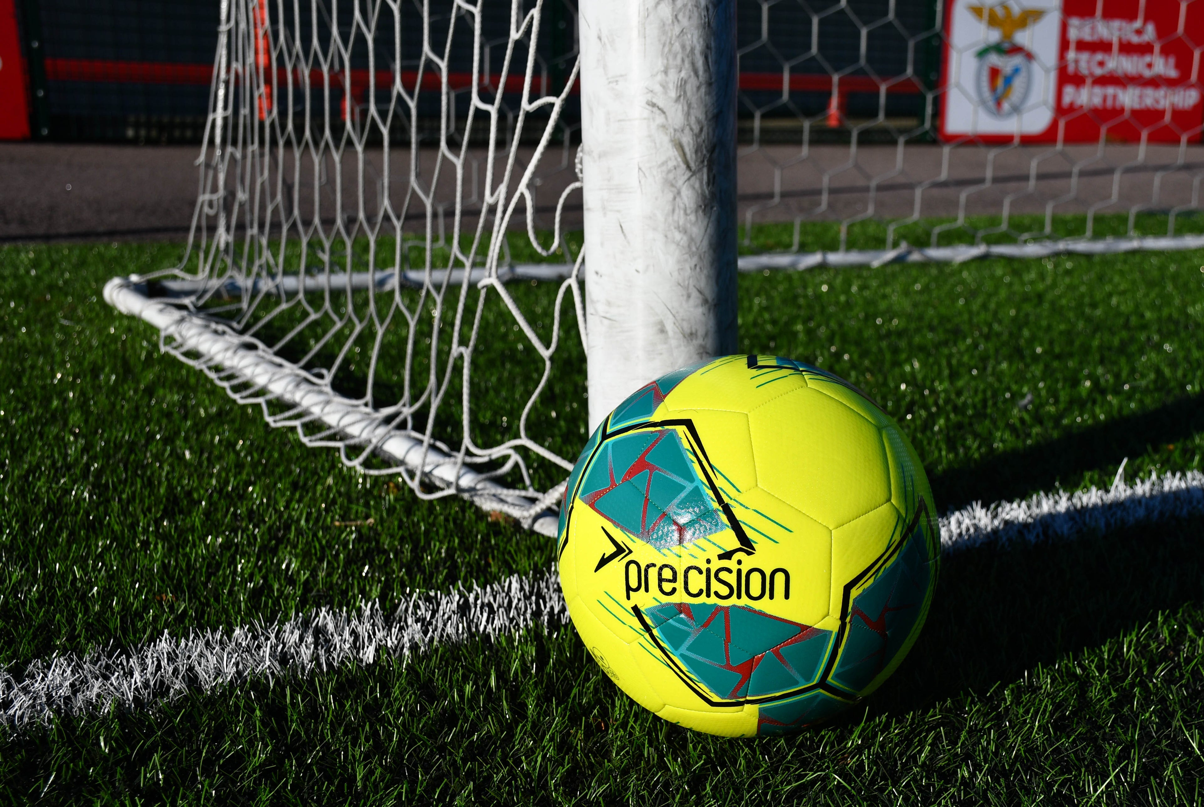 Precision Fusion IMS Training Ball image 0