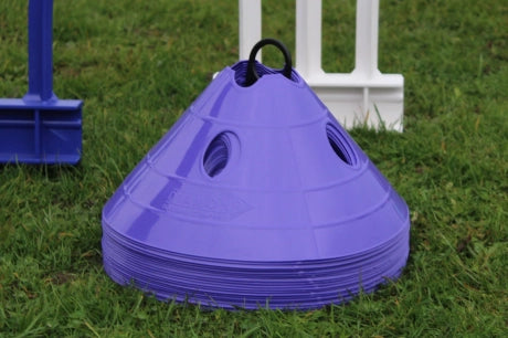 Diamond Superdomes image 2