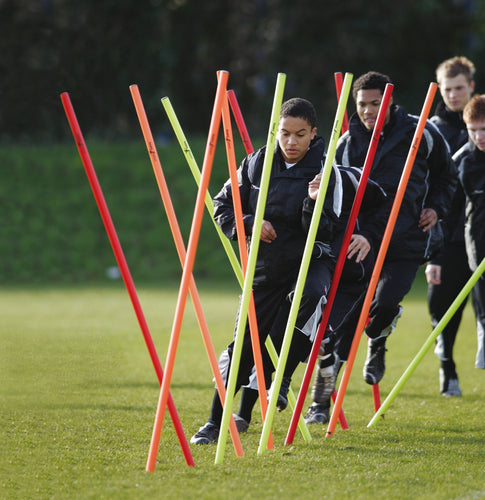 Precision Boundary Poles Set of 12 image 0